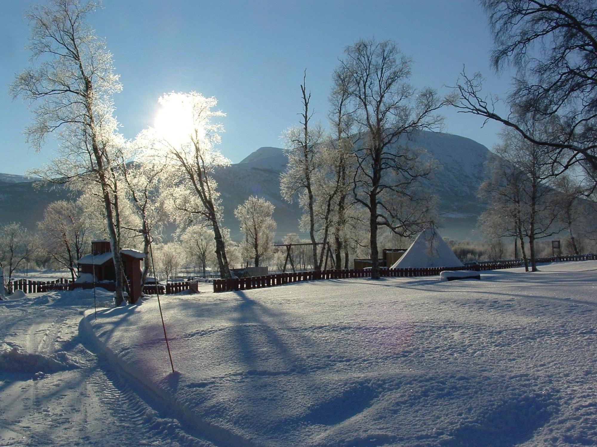 Imi Stølen * Oppdal